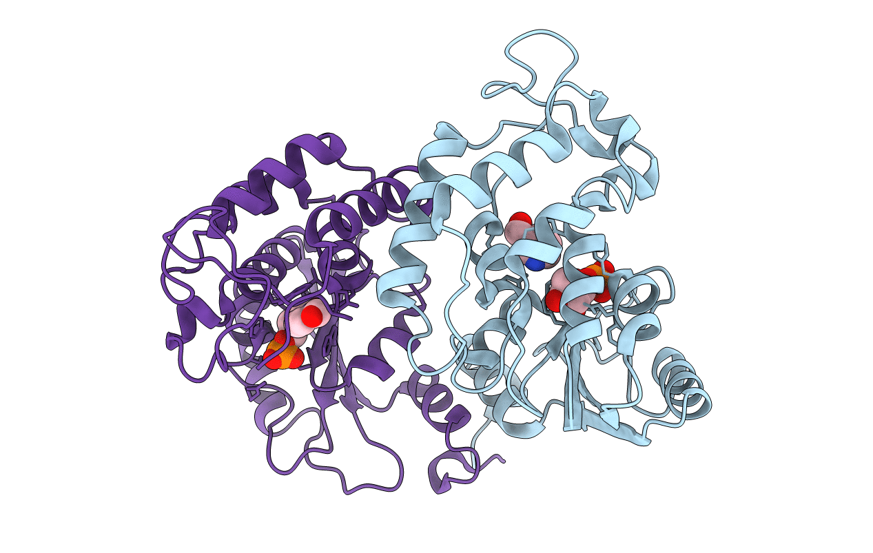 1R16 image