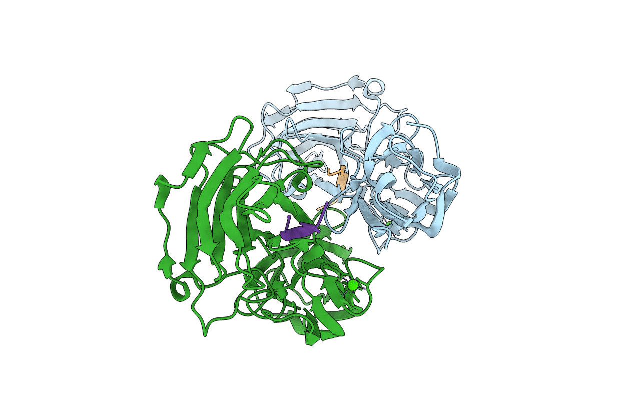 1R17 image