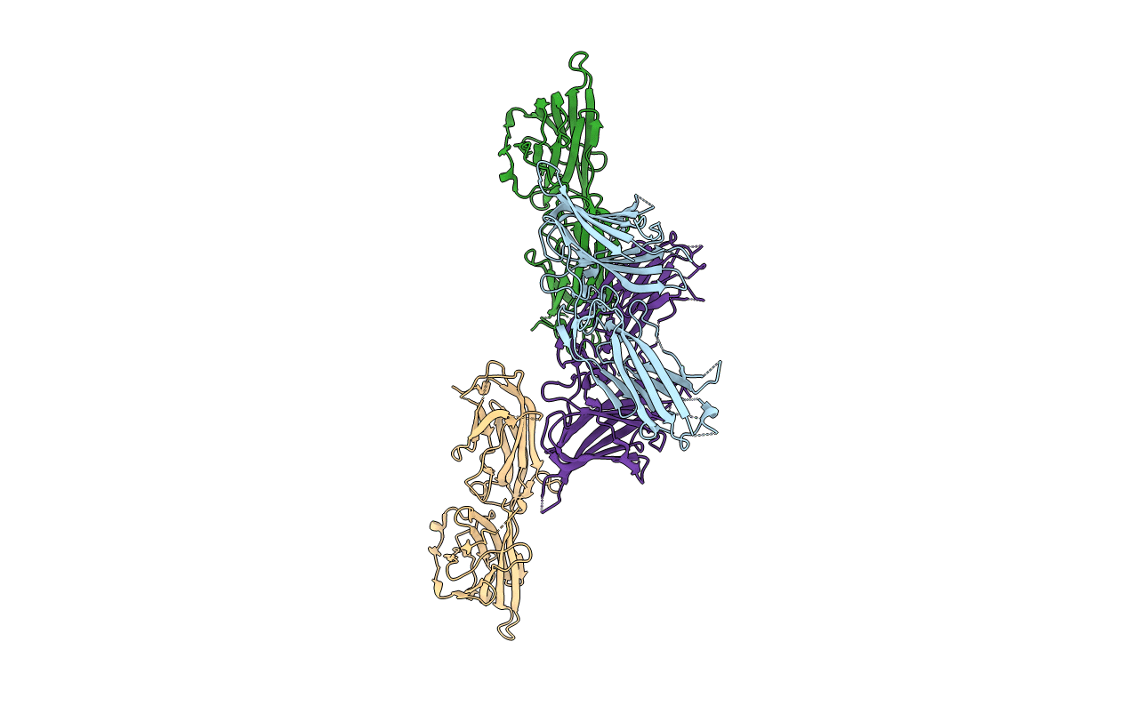 1R19 image