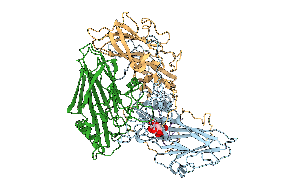1R1A image