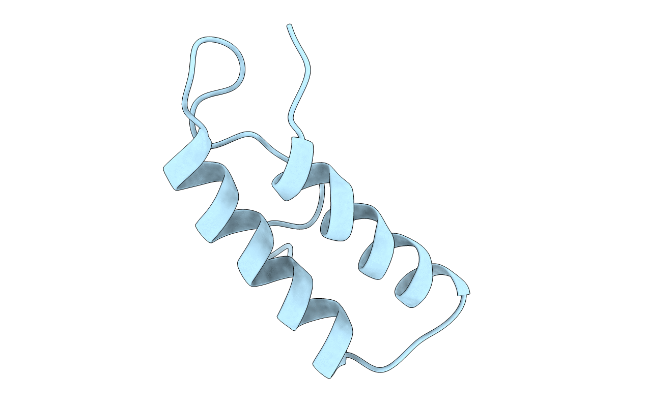 1R1B image