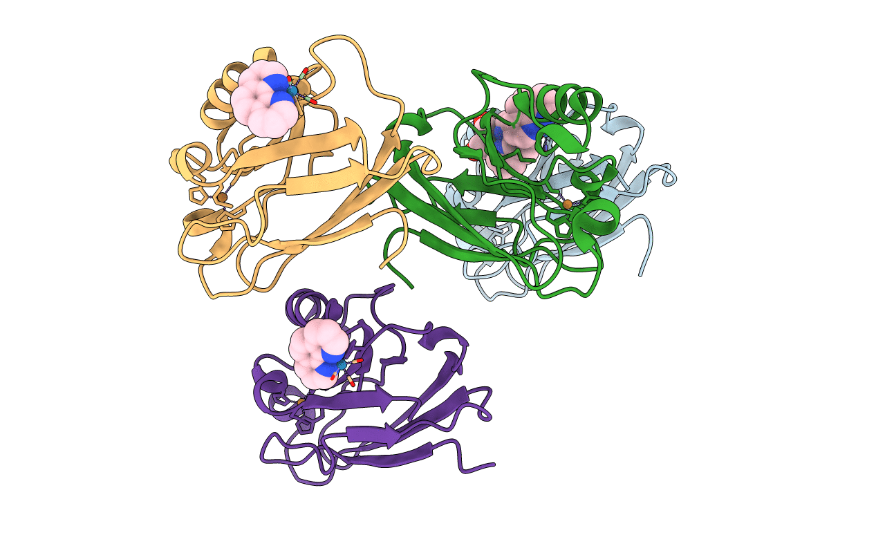 1R1C image