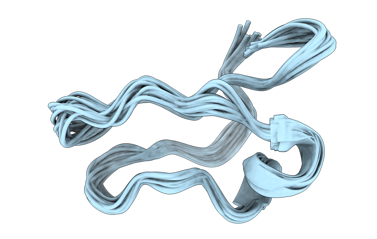 1R1F image