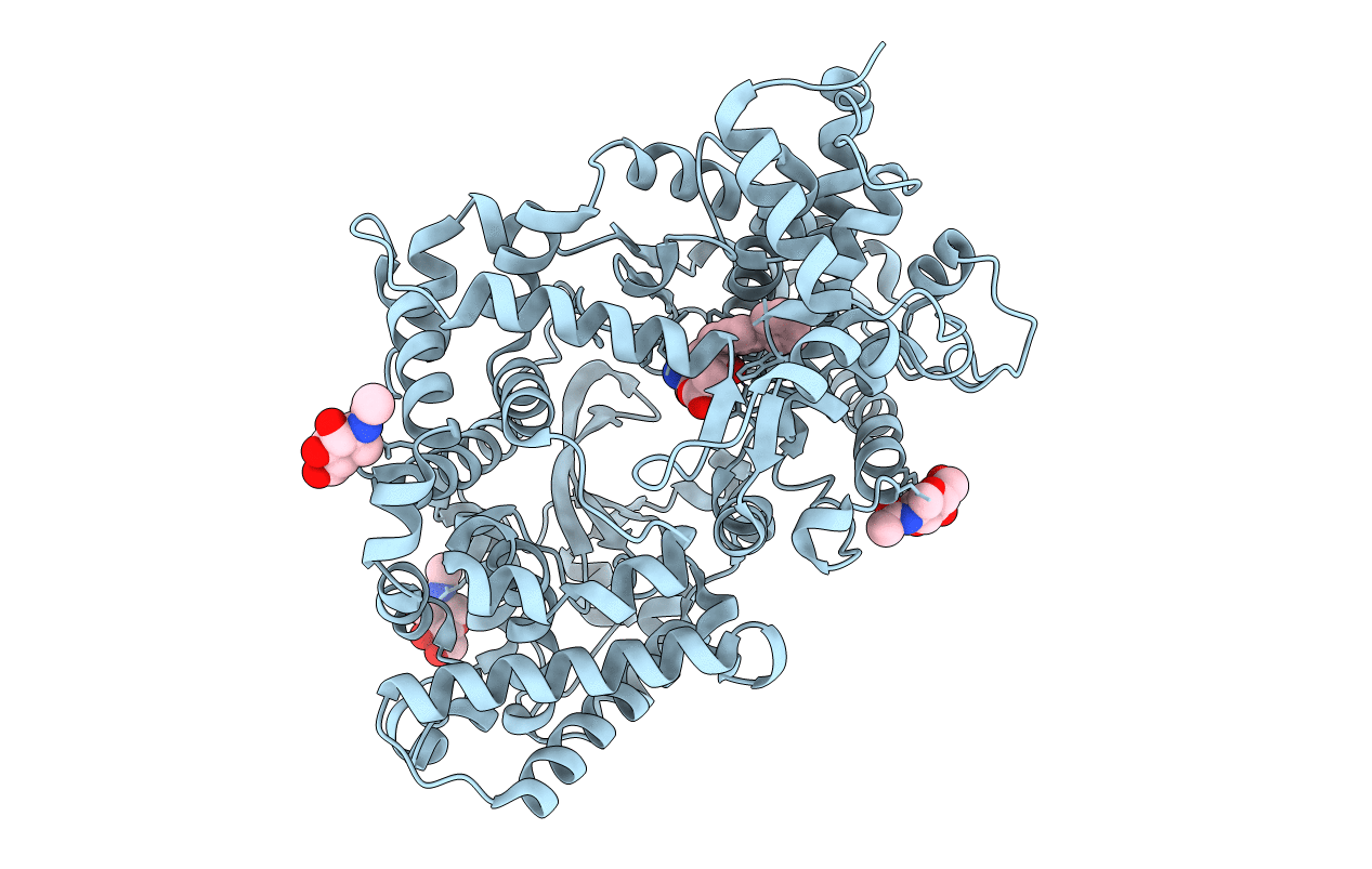 1R1H image
