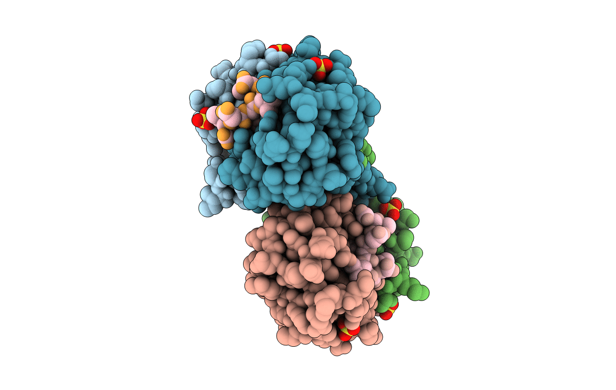 1r1p image