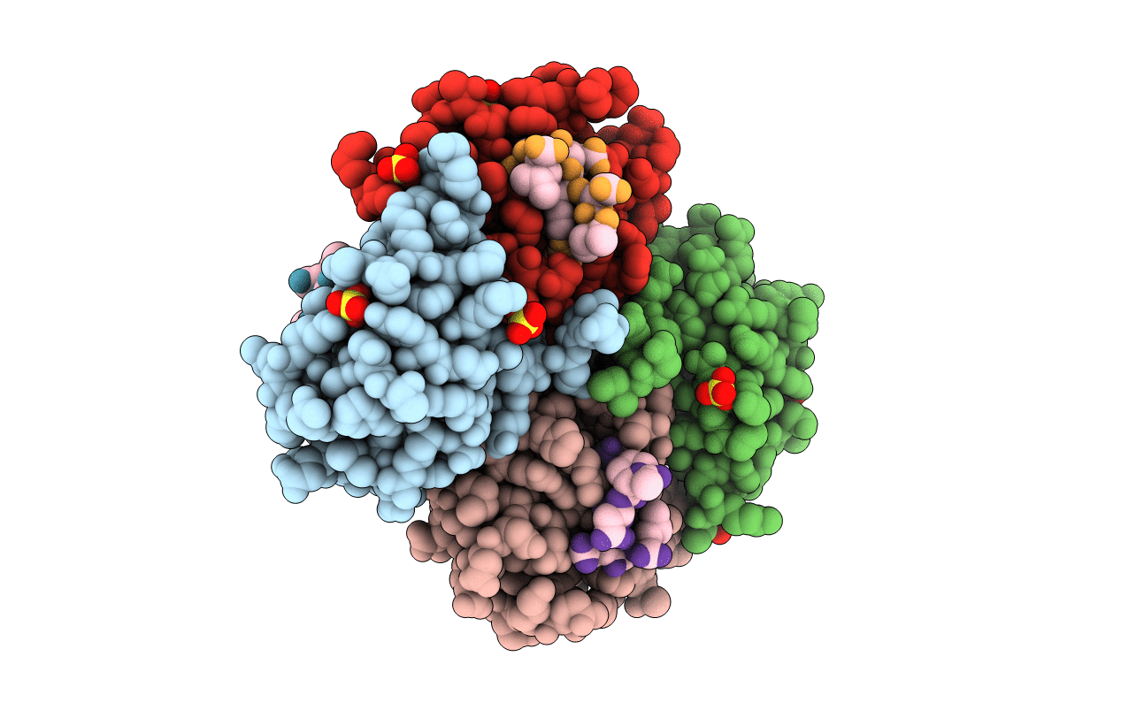 1R1S image
