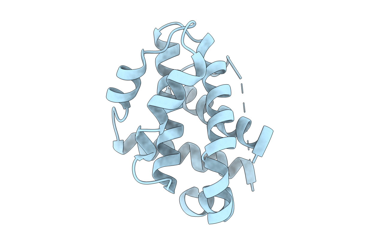 1R2I image