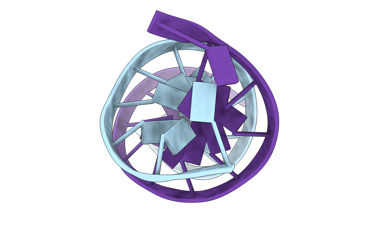 1R2L image
