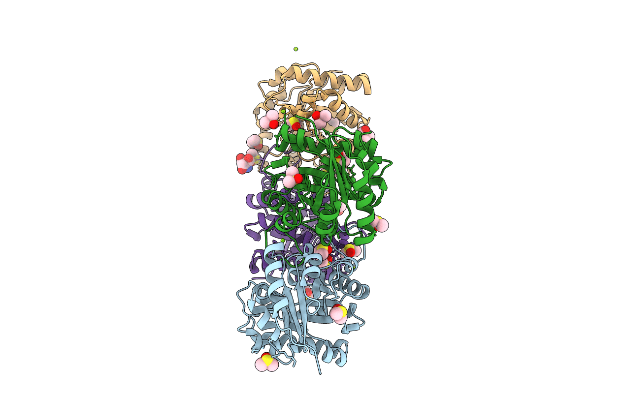 1R2R image