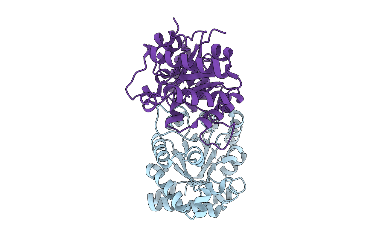1R2T image