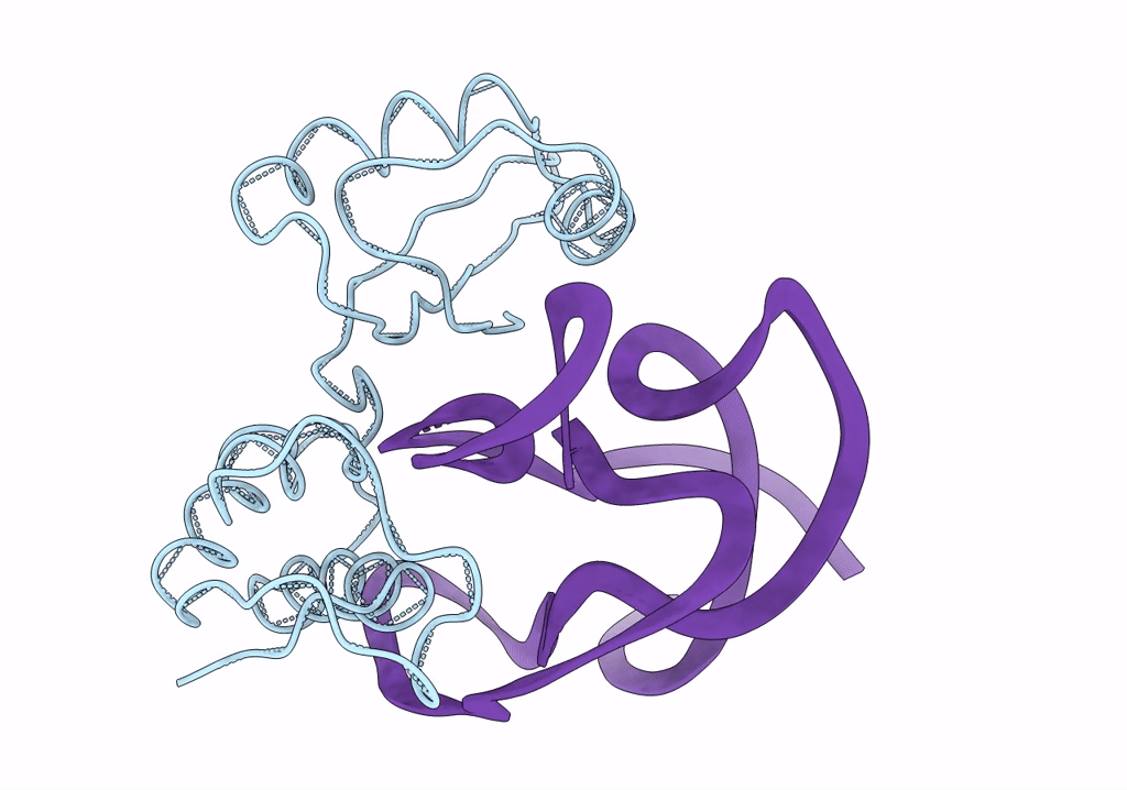 1R2W image