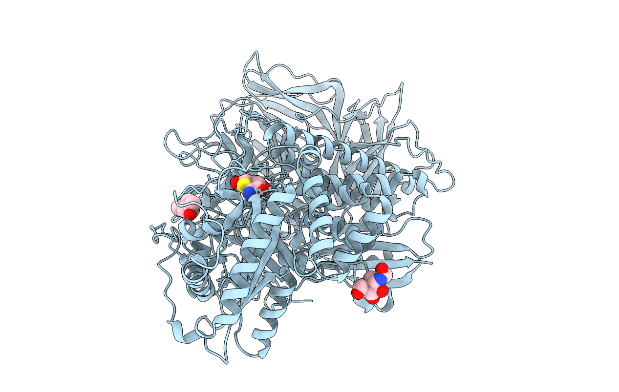 1R33 image