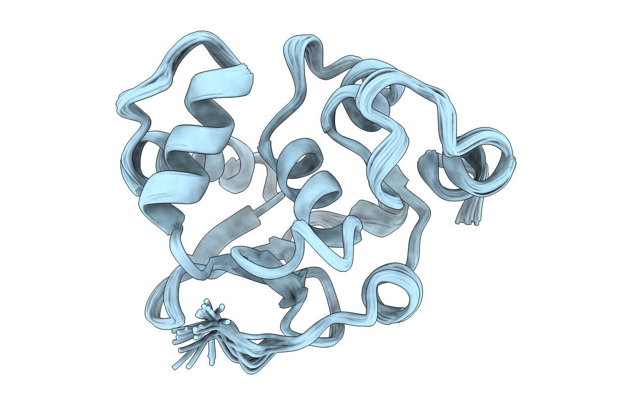 1R36 image