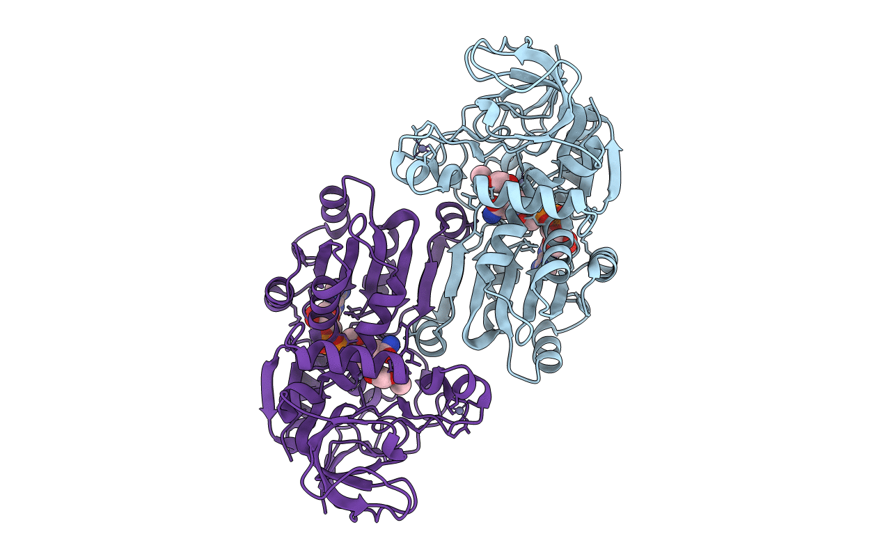 1R37 image