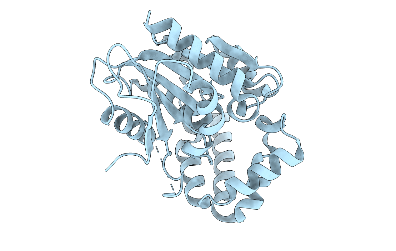 1R3D image