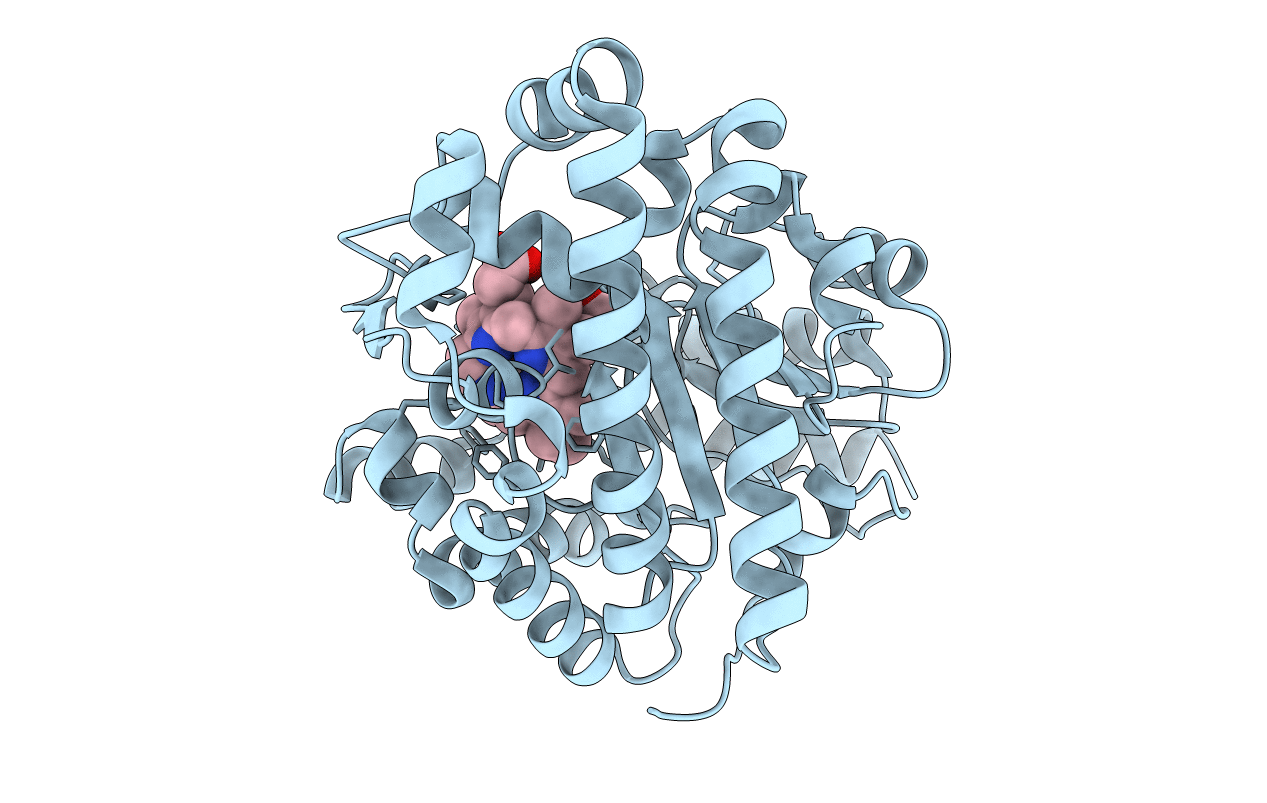 1R3W image