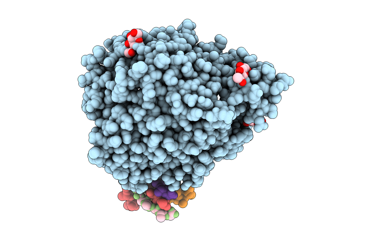 1R42 image