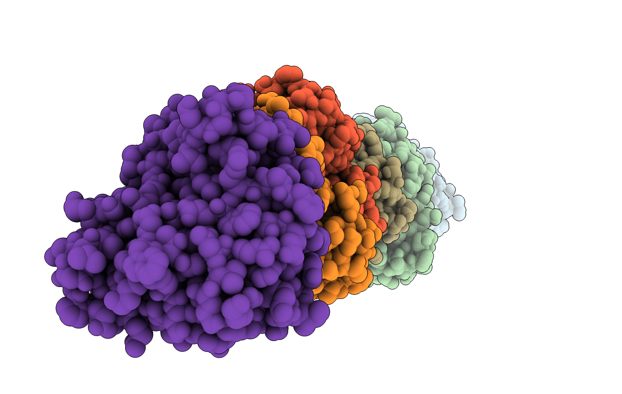 1r44 image