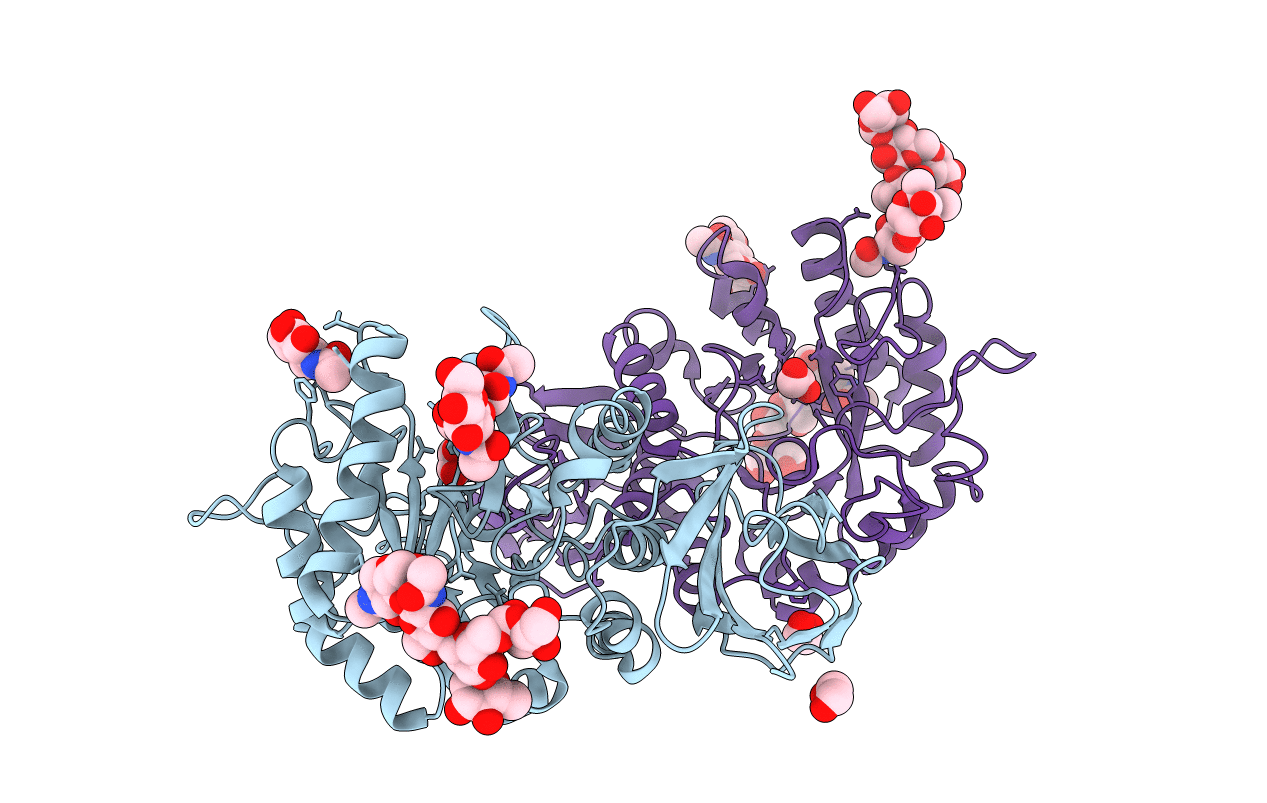 1R46 image