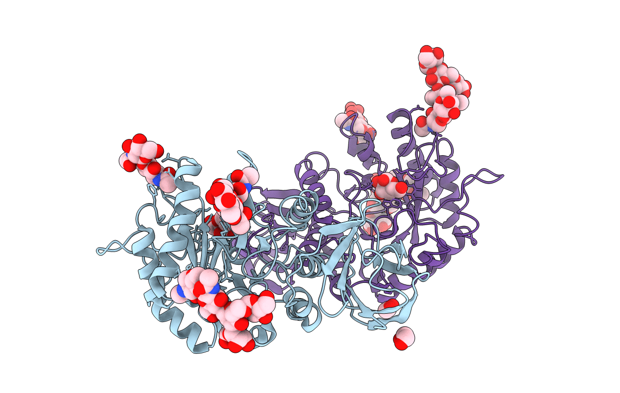 1R47 image