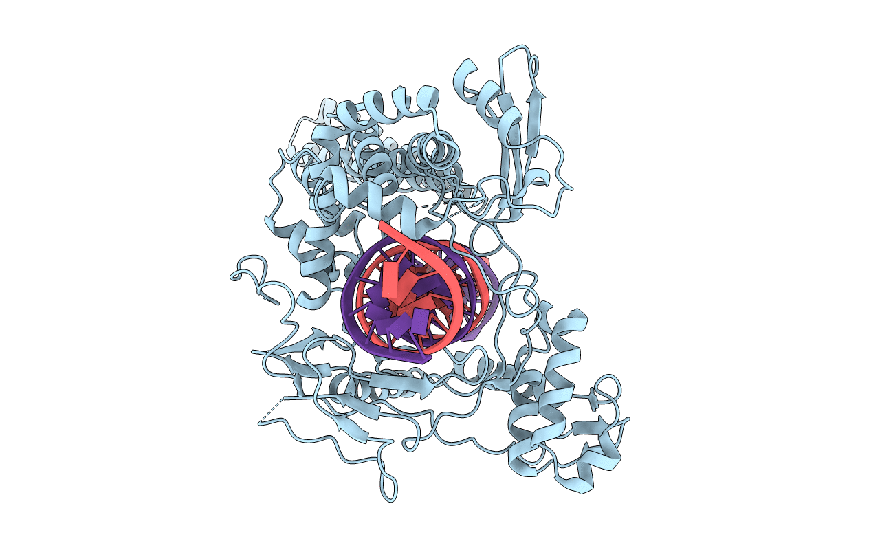 1R49 image