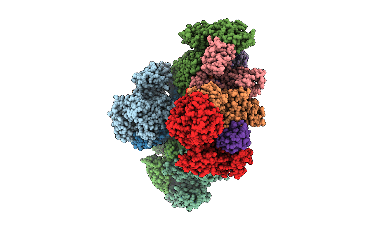 1R4N image