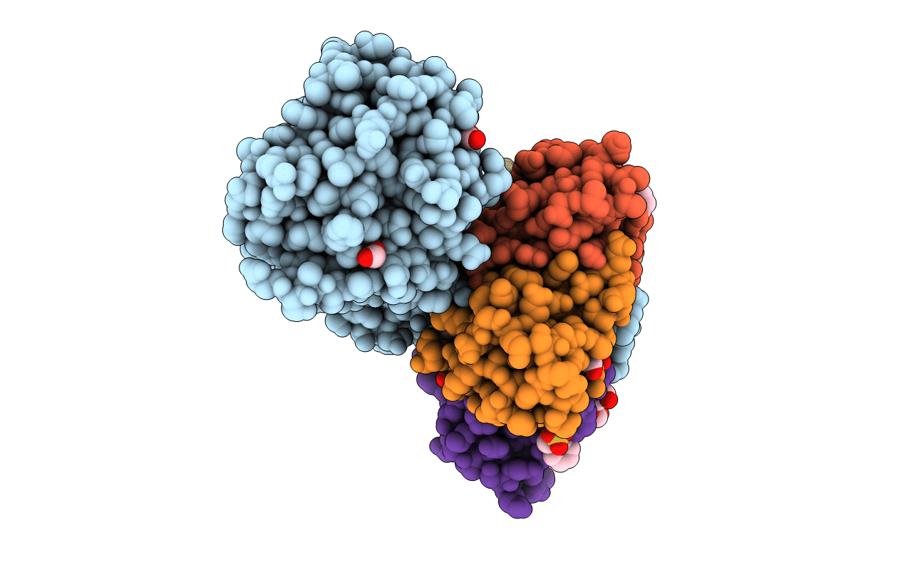 1R4P image