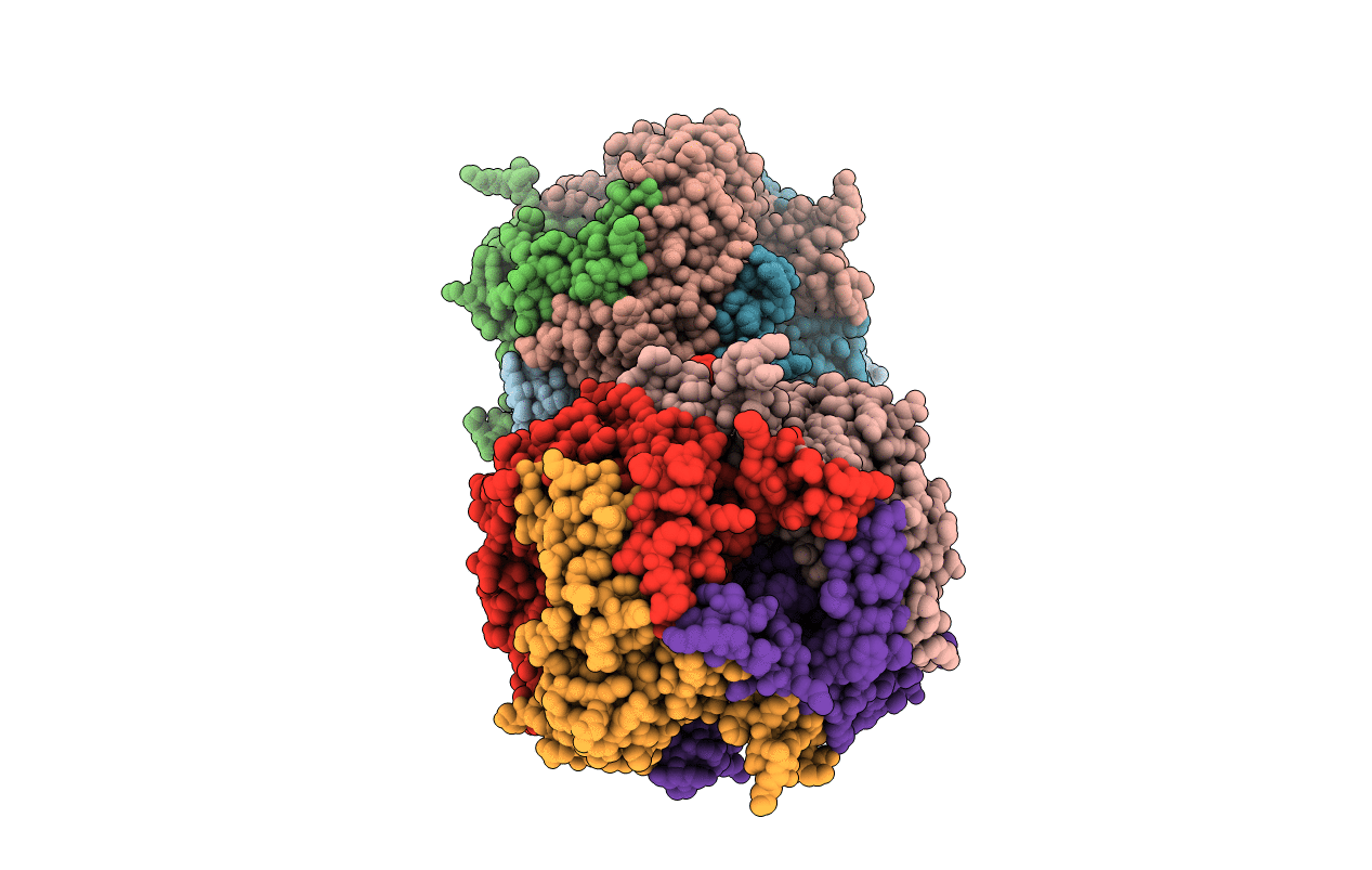 1R56 image