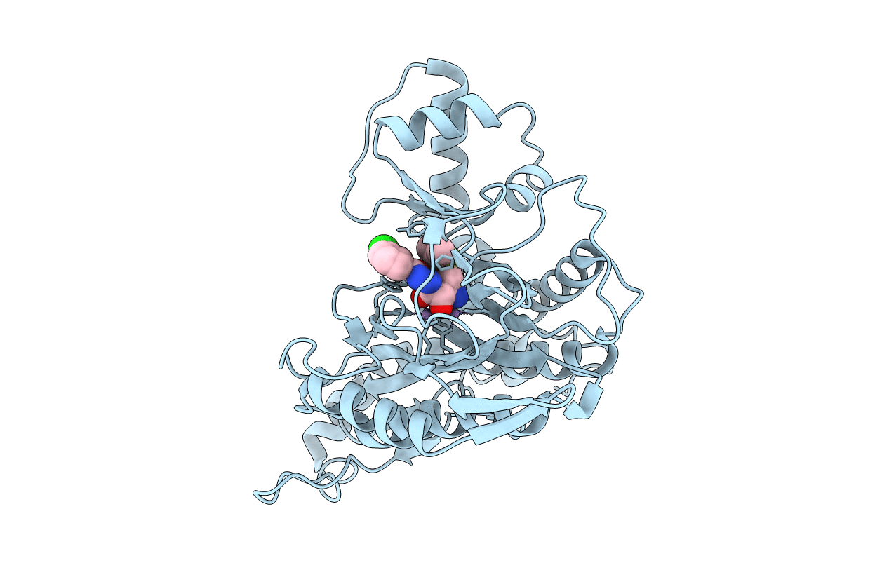 1R58 image