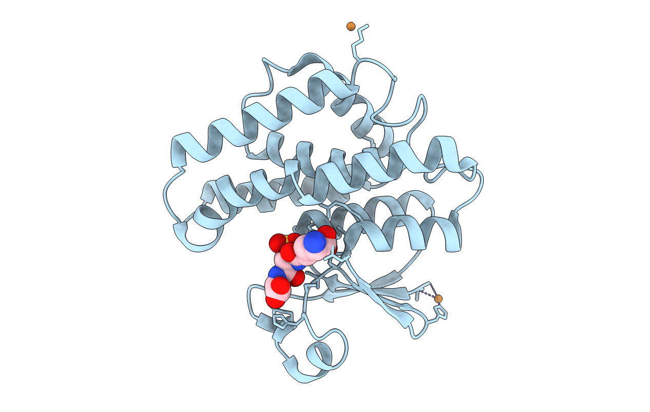 1R5A image