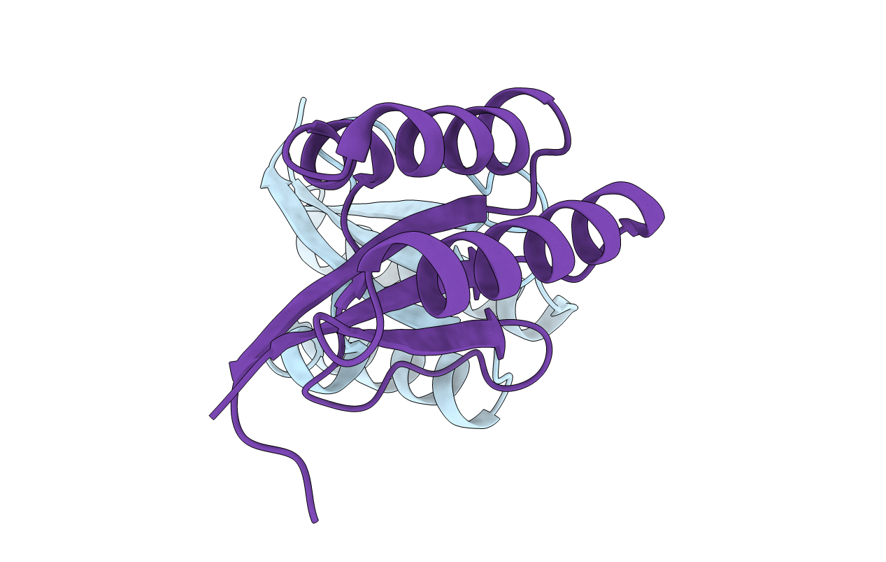 1R5P image