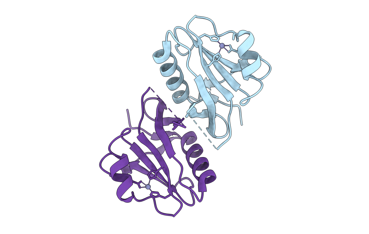 1R5X image