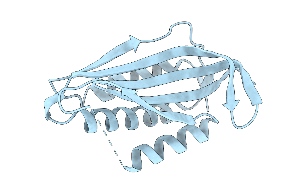 1R62 image
