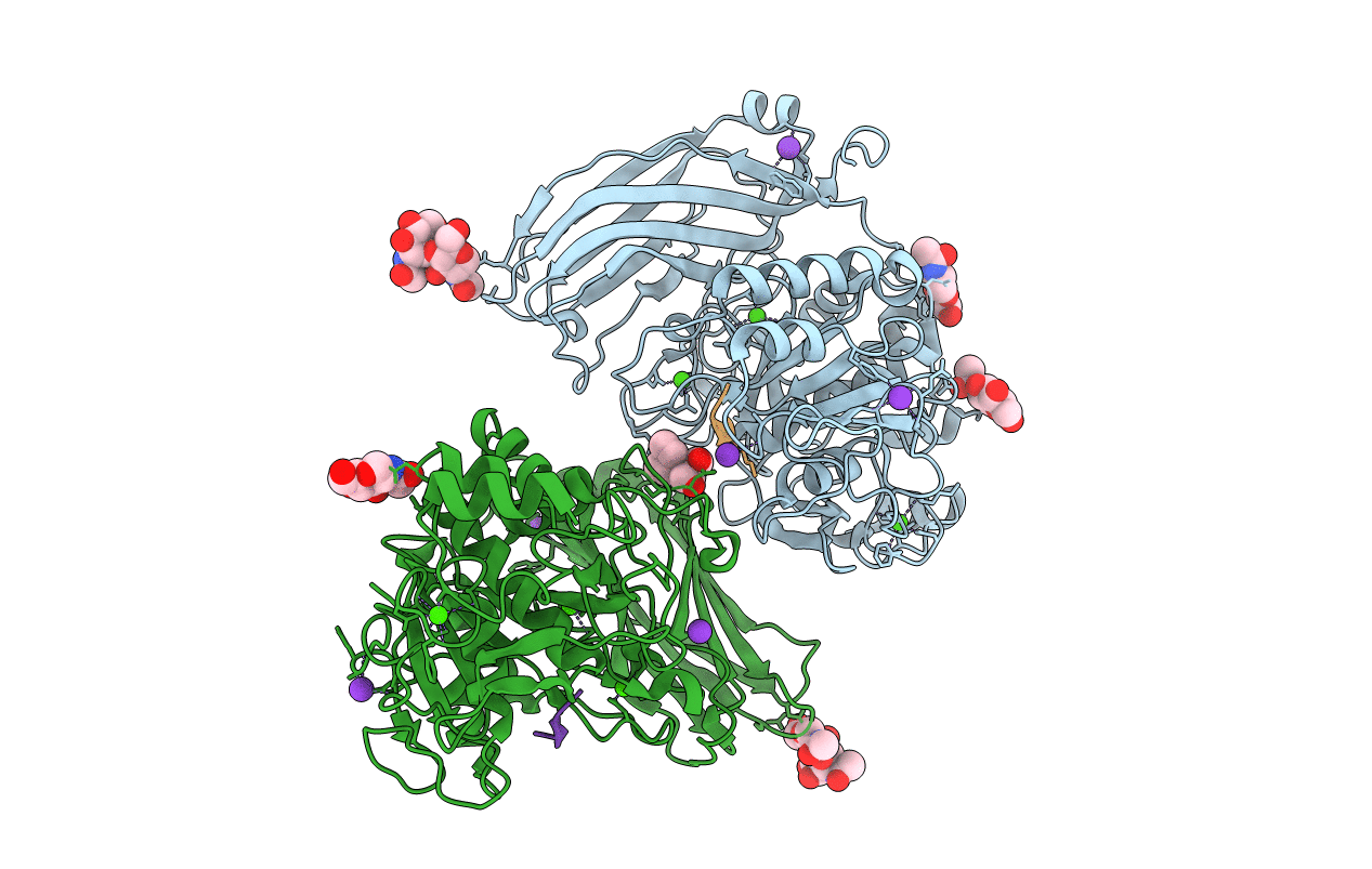 1R64 image