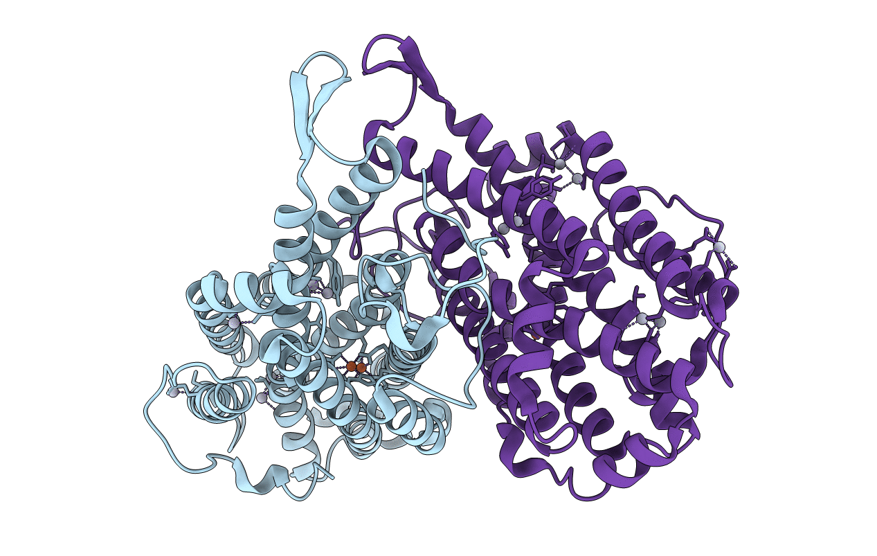 1R65 image