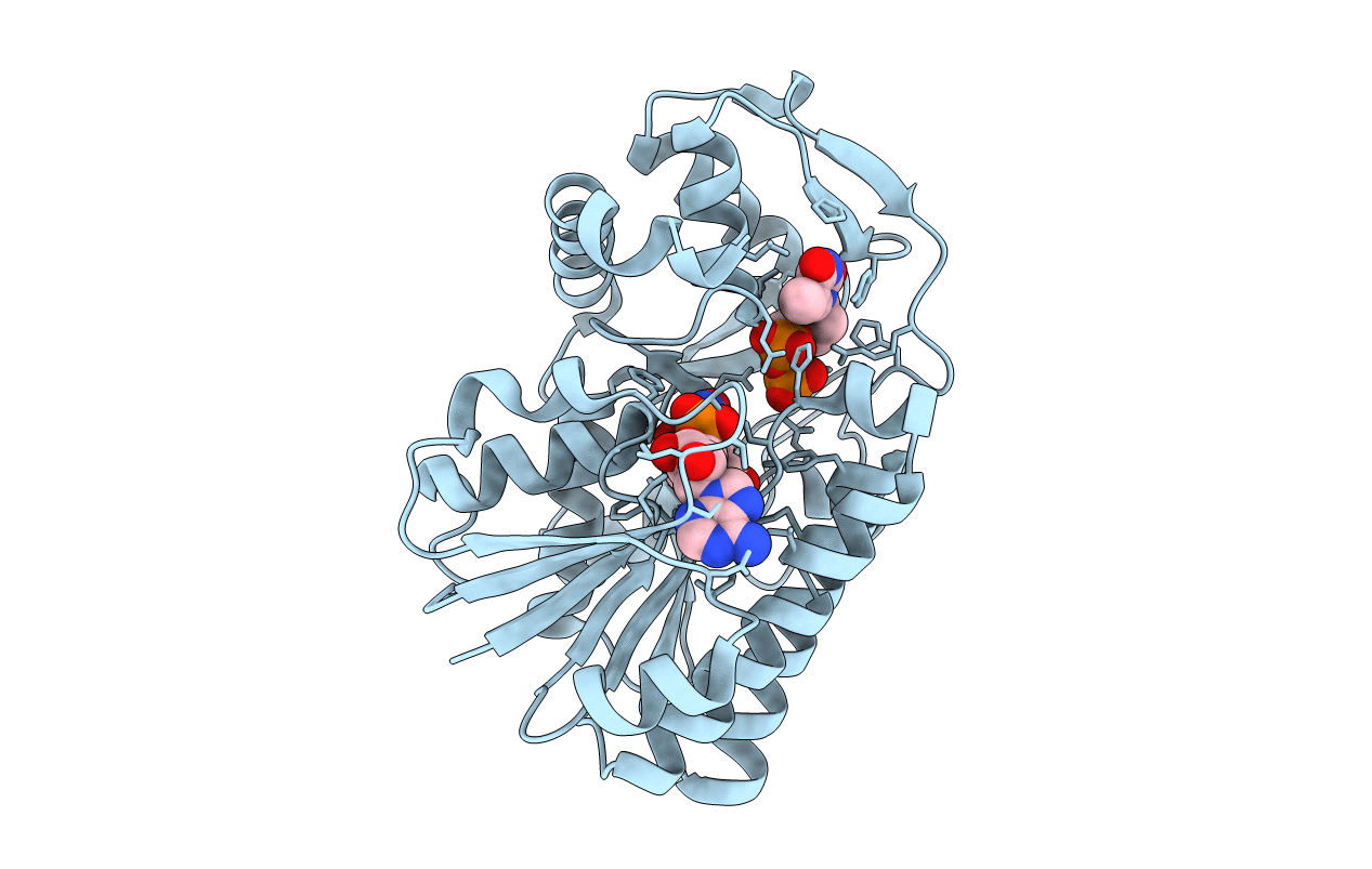 1R66 image