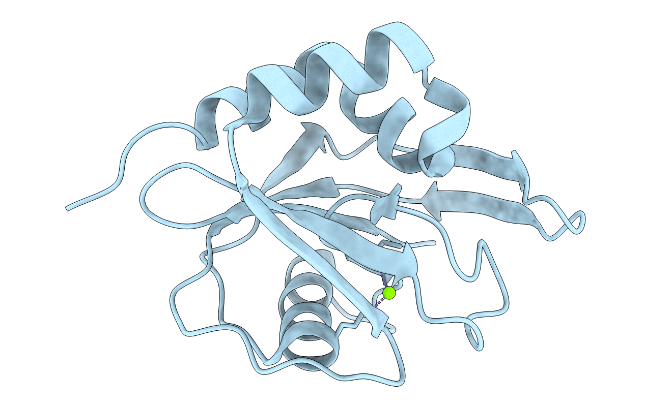 1R67 image