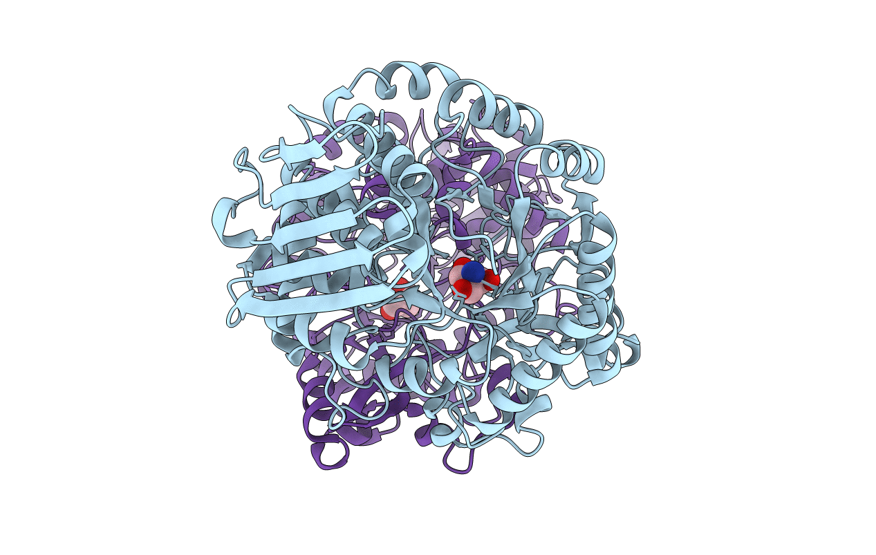 1R7A image