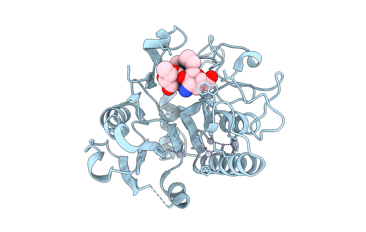 1R7V image