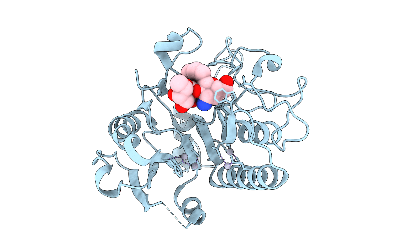 1R7X image