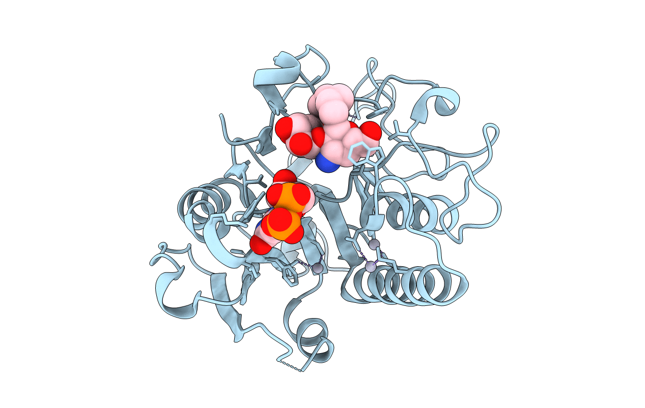 1R81 image
