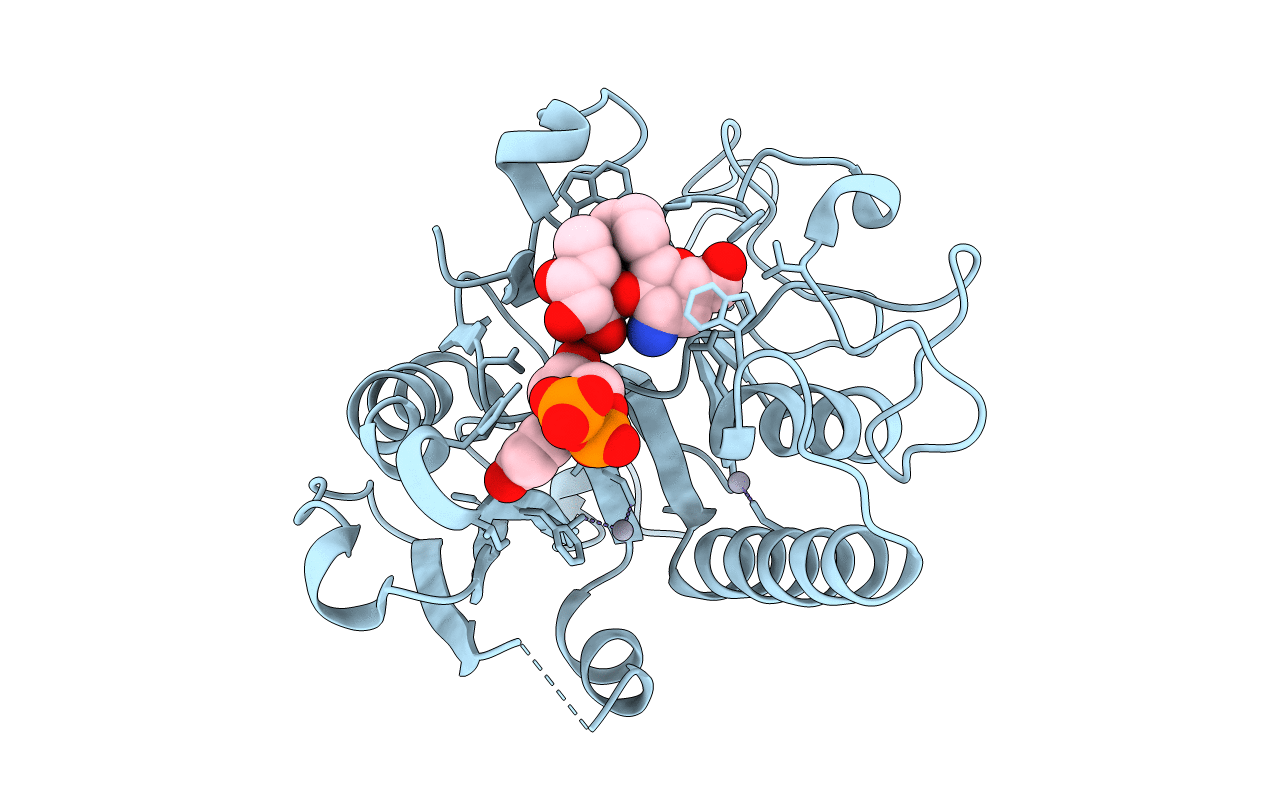 1R82 image