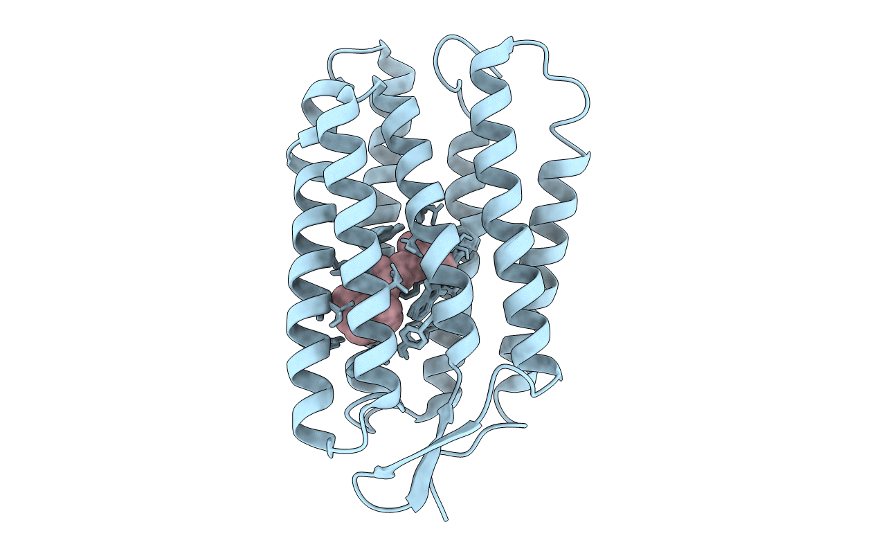 1R84 image
