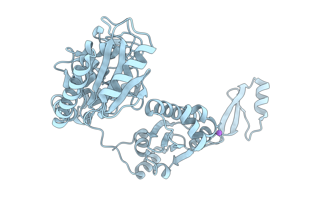 1R8A image