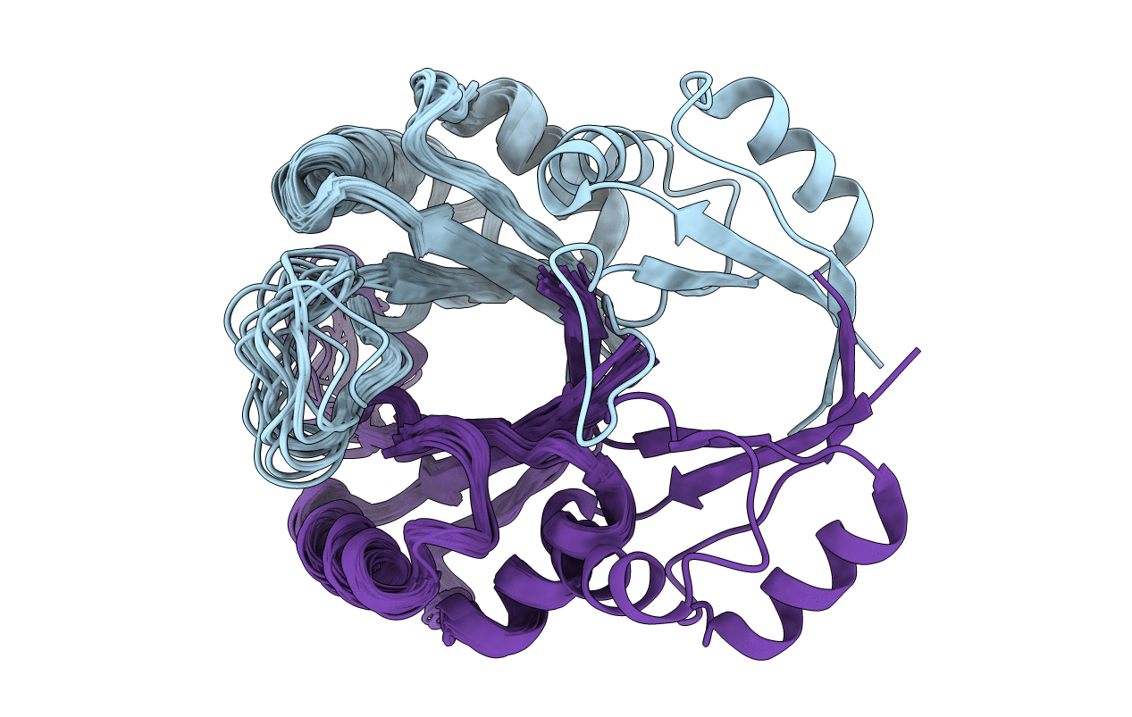 1R8P image