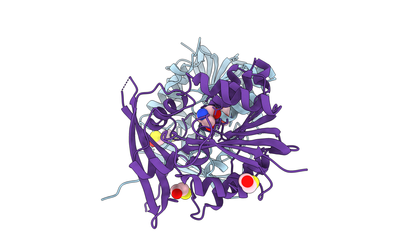 1R8X image