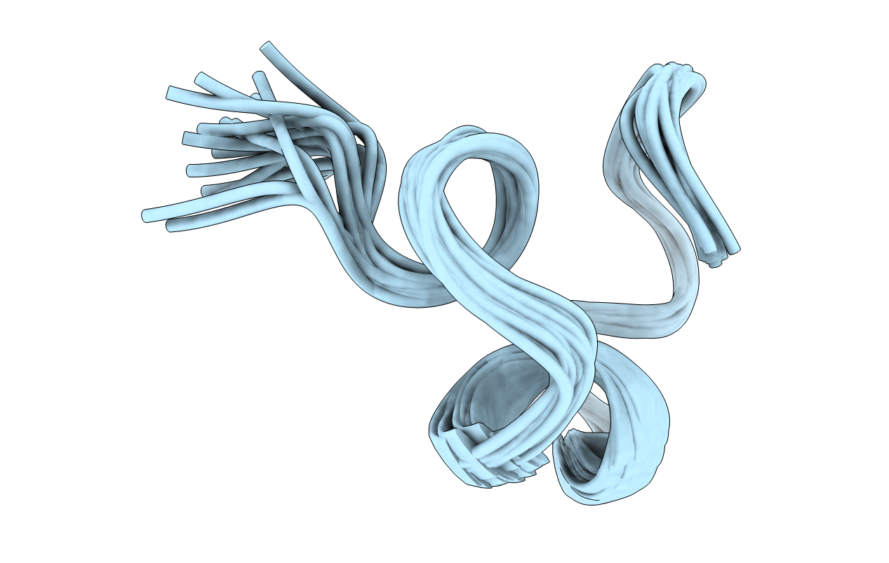 1R9I image