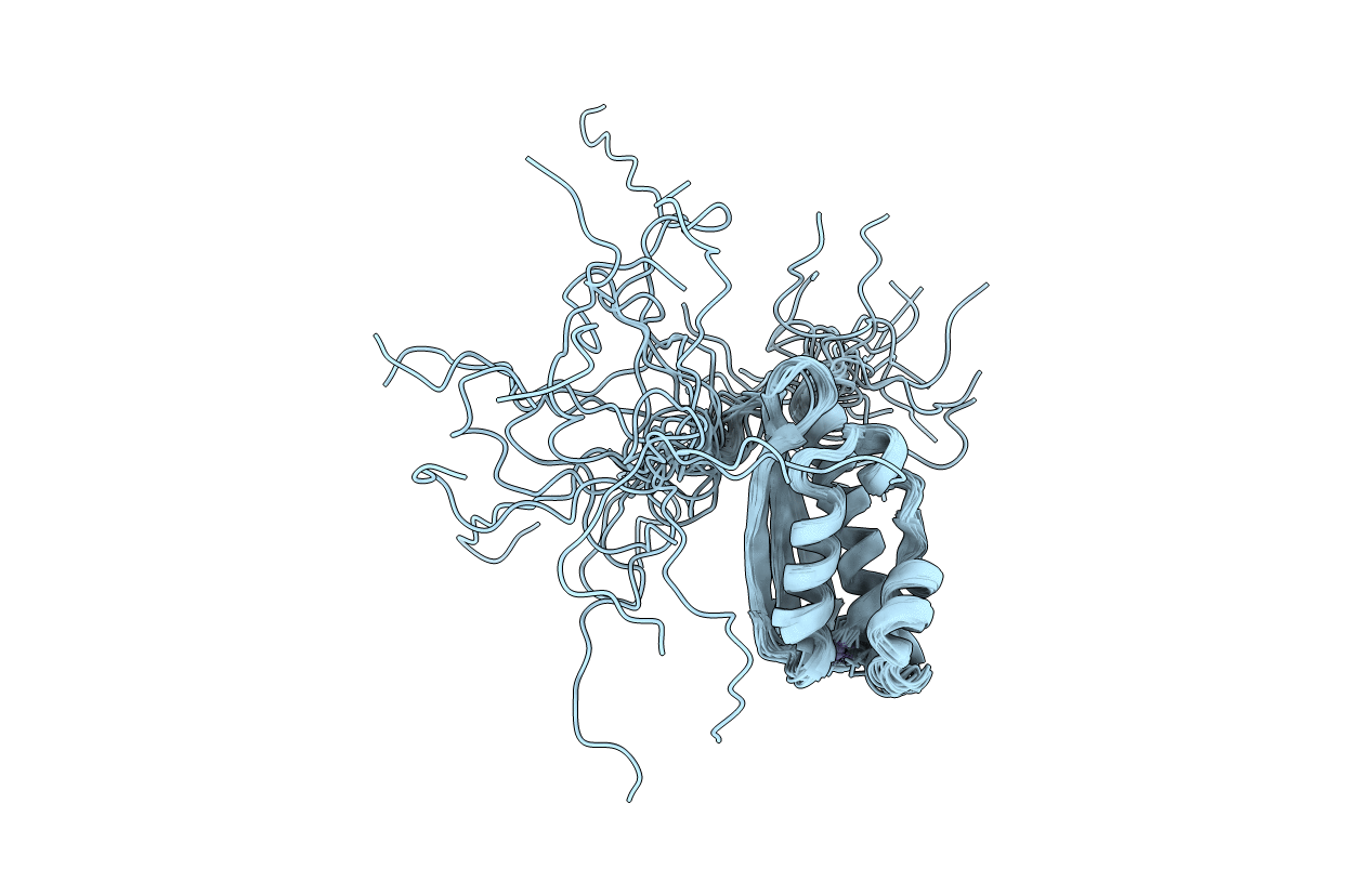 1R9P image