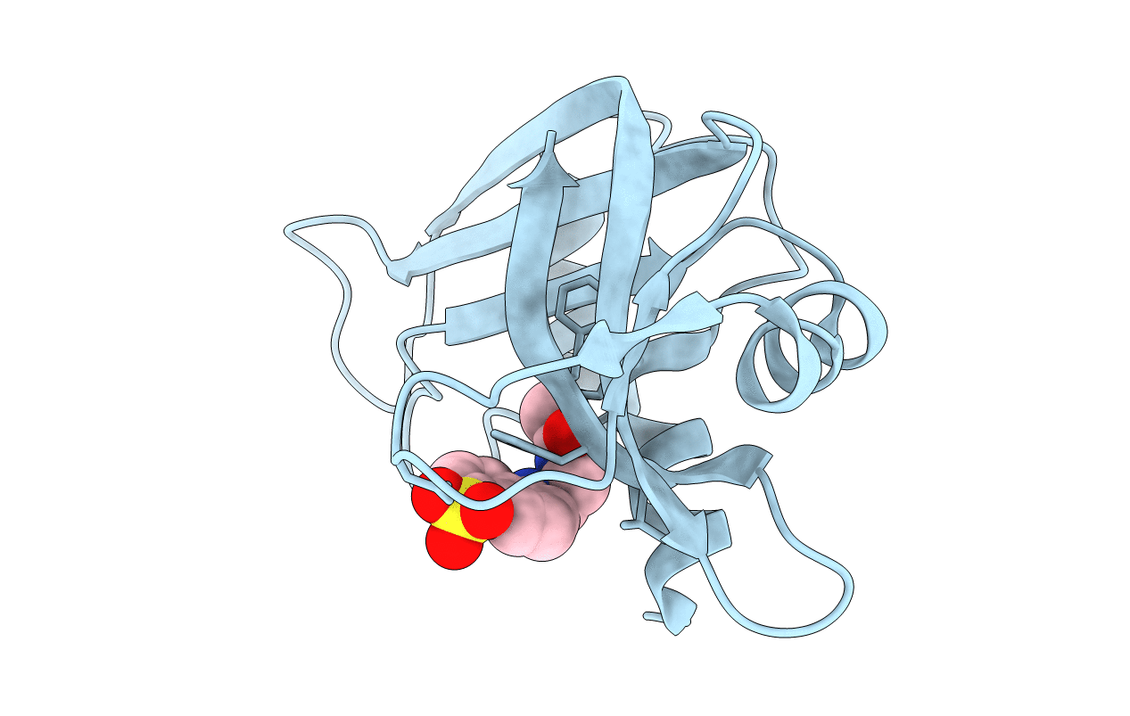 1RAS image