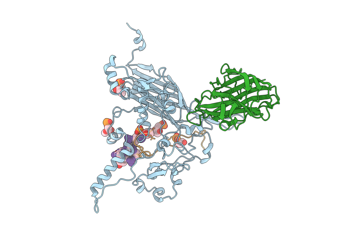 1RB8 image